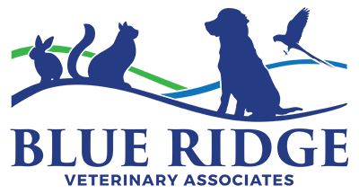 Blue Ridge Veterinary Associates 