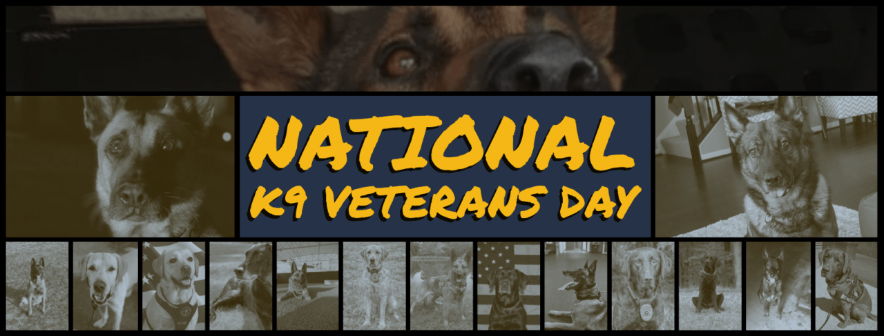 Veterans day deals denver