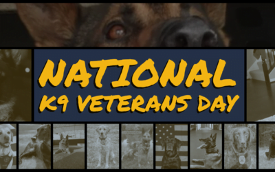 K9 Veteran’s Day 2021