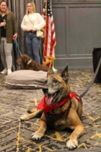 Support K9 Heroes