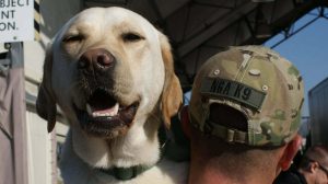 Support K9 Heroes