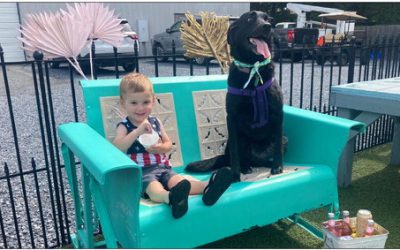 Dog Days of Summer Brings Canine Lovers Together