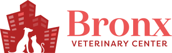 Bronx Veterinary Center, New York