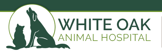 White Oak Animal Hospital Virginia