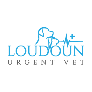 Loudon Urgent Vet, Virginia