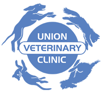 Union Veterinary Clinic, Washington DC