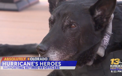 Colorado Springs non-profit helps retired working dogs in honor of Secret Service K9