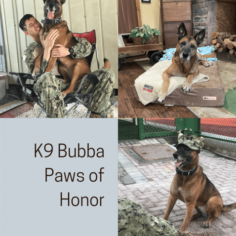 Big Barker Announces Partnership with Paws of Honor to Mark National K9 Veterans Day on March 13